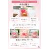 IPFA Preserved Flower Scrunchie Present, Rose, Acrylic Box (Birthday, Wedding