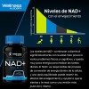 Suplemento en cápsula Wellness Labsrx NAD+ de Nad+ 1500 mg