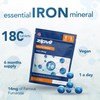 Zipvit Iron Tablets 14mg, High Strength Ferrous Fumarate, 180 Vegan