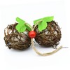 CIYODO Bird Toy Takraw Ball Stylish Nesting Material Attract Hummingbirds