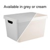 Storage Container With Lid Smart Home Organising Solution 17L Cream