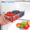 Lifemaster 10-Piece Stackable Refrigerator Bin Organizer Set with Easy Grip