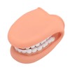 Mouth Puppet with Tongue 28 Teeth Silicone Speech Therapy Demonstration