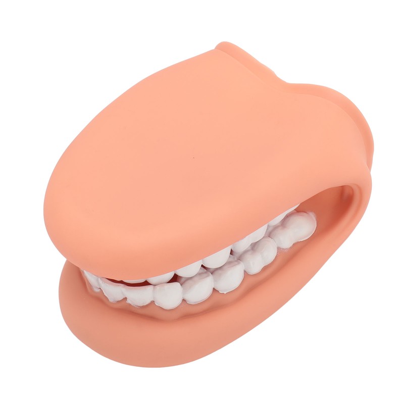 Mouth Puppet with Tongue 28 Teeth Silicone Speech Therapy Demonstration