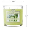 Colonial Candle Cucumber Fresca Scented Jar Candle, 2 Wick, 3.5