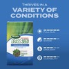 Scotts Turf Builder Grass Seed Sun and Shade Mix with