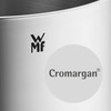 WMF Saucepan 16 cm with Spout, Small Pot without Lid,