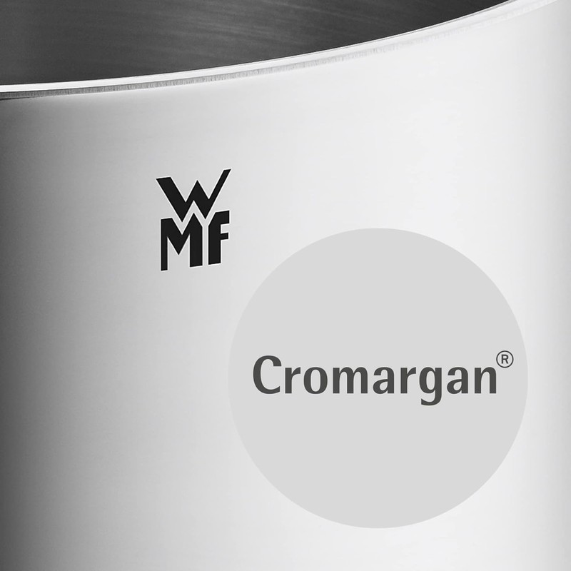 WMF Saucepan 16 cm with Spout, Small Pot without Lid,