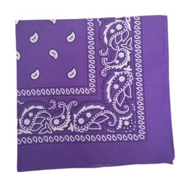 Paisley Bandana - Multifunctional Headwear for Outdoor Adventures 55x55cm - Perfect for Cycling, Hiking, Running, Yoga, Motorcycling, and More (Purple)
