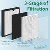 2 Packs HAP-603 Replacement Filter Compatible with ECOSELF HAP603 Air