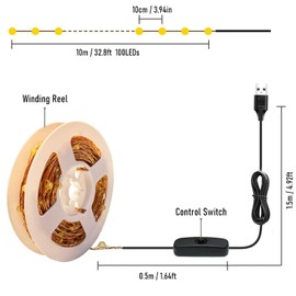 RUICHEN USB Plug in Fairy Lights Copper Wire 33 Ft 100 LED Starry String Lights with On/Off Switch, Warm White