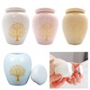 FAURAPMNG Small Urn for Human Ashes - 4 Pack Mini