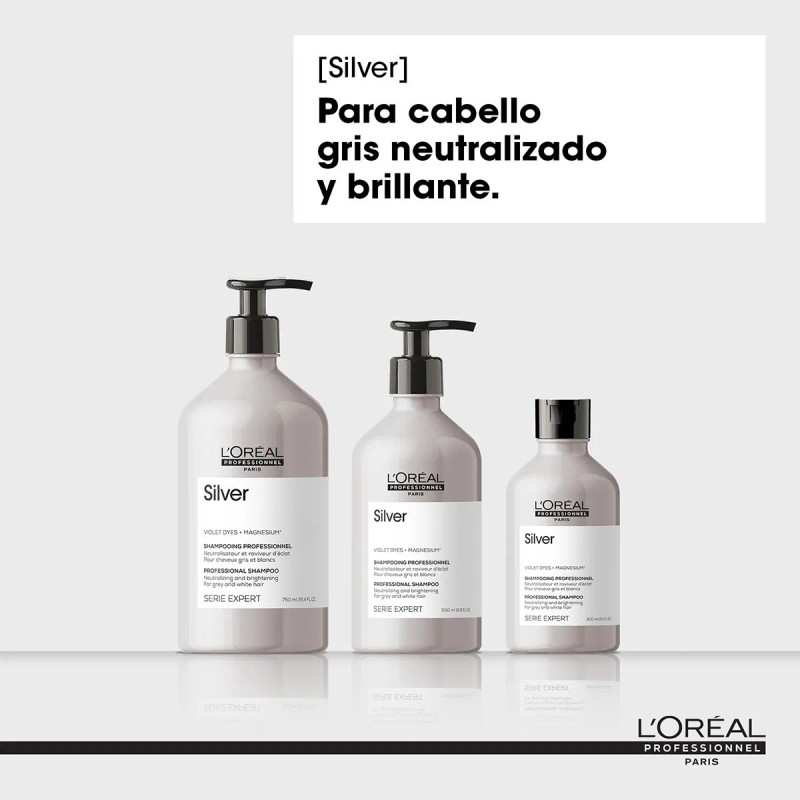 Shampoo Cuidado Canas L'Oréal Professionnel Silver 500ml