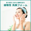 Naive Facial Cleansing Foam (Contains Tea Leaf Extract), 4.6 oz