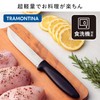 Tramontina 23427/100 Plenus Lightweight Design Carving Fork, 10.2 inches (26