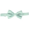 STACY ADAMS mens Satin Solid Bow Tie, Mint, One Size