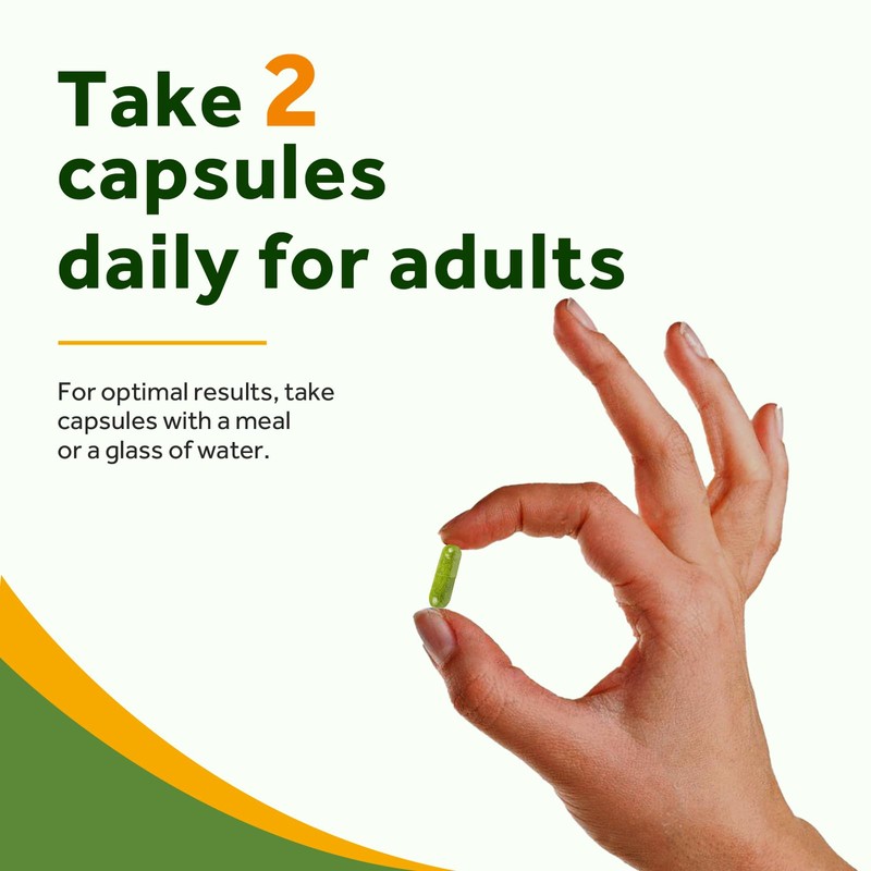 Doctor's Recipes Moringa 240 Caps