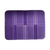 Locker Room Mat Stay Clean (Purple)