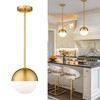 LMS Modern Pendant Lighting Gold Globe Pendant Light Fixture, Mid