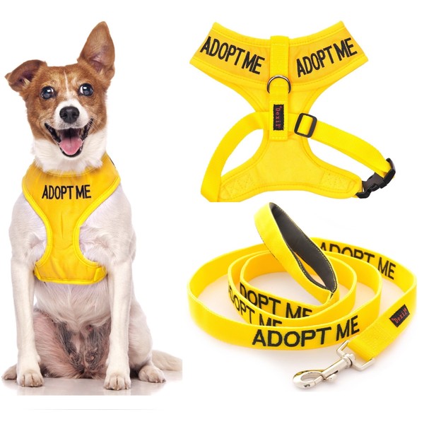 ADOPT ME (I Need A New Home) Yellow Colour Coded