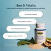 Paratoxil - Psyllium Husk Fiber Capsules for Gut Cleanse -