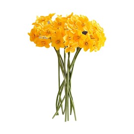 GSHLLO 12 Pcs Artificial Daffodils Flowers Silk Narcissus Fake Spring Flower Plants Faux Plastic Flowers Bride Holding Flowers Silk Flower Arrangements with Stems for Party Decor Yellow