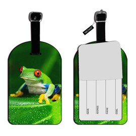 Nicokee Green Red Eyed Tree Frog Luggage Tag Tropical Rainforest Luggage Tag Suitcase ID Leather Travel Bag Label - 1 pack