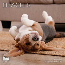 July 2025- December 2026 Beagles Wall Calendar 18 Month | 12" x 24" Open | Giftable Dog Calendar 2026 | Thick & Sturdy Paper for Organizing & Planning | Pacific Waters Press (Beagles)