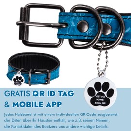 FAVPET Luxury Genuine Leather Greyhound Collar Wide with QR Code Pendant, Soft Leather Dog Collar Wide Whippet Italian Wind Chime Saluki Lurcher Spanish Galgo Greyhound Podenco (Blue, M)