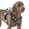 AUNZO Tactical Dog Harness for Extra Large Dog Breeds, No