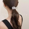 Herbeluemily Hair Claw Clip, Rhinestone Bijou Pony Holder, Hair Clip,