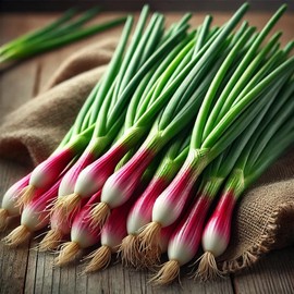 Red Welsh Onion Seeds – Allium Fistulosum | Perennial | Hardy, Flavorful & Ideal for Salads & Cooking