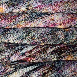 Malabrigo Yarn Sock (731 - Baco)