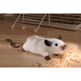 Kösener 7440 Soft Toy Birmam Mouse Beige - Brown 13 cm Cuddly Toy Plush Toy Baby Child Plush Alcantara