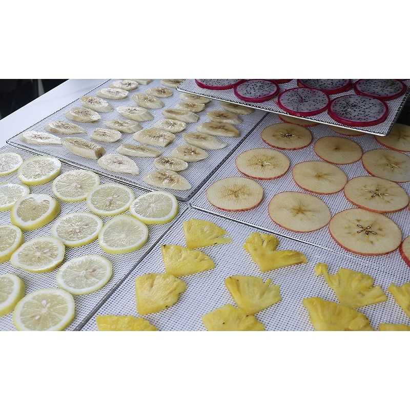 Kispog Mesh Silicone Dehydrator Sheets, 15.5x15.5 in 10 Pcs/Sets for