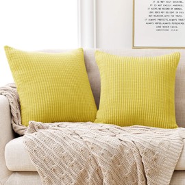 Deconovo Set of 2 velvet corduroy cushion covers, sofa cushion cover.