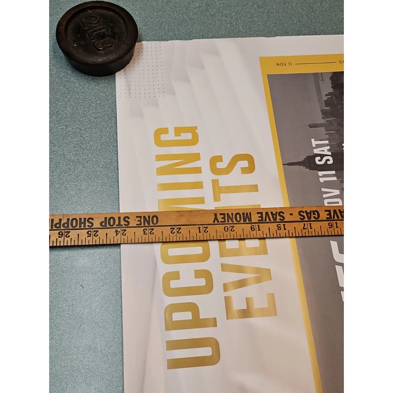 UFC Upcoming Events Promo Poster 295 296 297