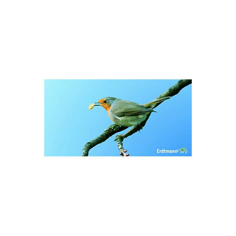 Erdtmanns 520300 Silohäuschen Oslo