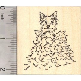 RubberHedgehog Terrier Dog Sitting in Autumn Leaves, Thanksgiving Rubber Stamp J19007 WM