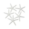 LJY 25 Pieces 8cm White Resin Pencil Finger Starfish for