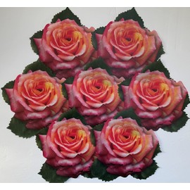 Parchment Paper Leaves for Cheese & Charcuterie Boards - Sisson Distribution Leaves (Pack of 20) (Rose)