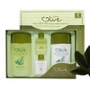 Korea Xi Cosmetics Men's Cosmetics 3W Olive for Men Men's