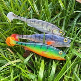 LMAB Perch Shad 7 cm, 9 cm, 11 cm, 14 cm, 18 cm, 23 cm KÖFI - Rubber Fish Fishing Lure, Artificial Bait, Soft Bait for Pike Fishing, Bass Fishing, Pike Bait (23 cm - Ghost Perch)