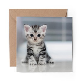 1 x Greeting Card Grey Tabby Bengal Pet Kitten Animals - Blank Birthday Celebration Anniversary #8433