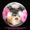 18.5cm New Fashion Plastic Small Pet Hamster Gerbil Toy Running