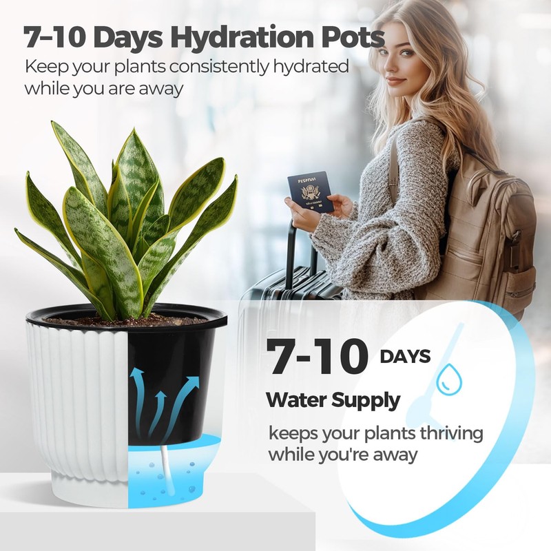 T4U 4 Inch Plant Pots Self Watering, 6 Pack African