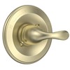 Replacement for D Faucet 13 Series Single-Function Shower Valve Trim