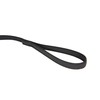 Julius-K9 Colour and Grey Rubber Lead, with tube, 20mm x
