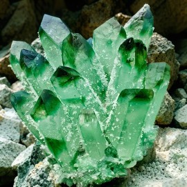 310G+ New Large Green Phantom Quartet Healing Cluster Crystal Mineral Rock Decor