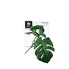 Levil Queen Levil Faux Plants Monstera